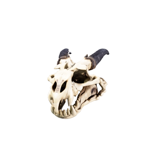 A horned dragon skull, elongated jaws with rows of jagged teeth, cracked bone and…