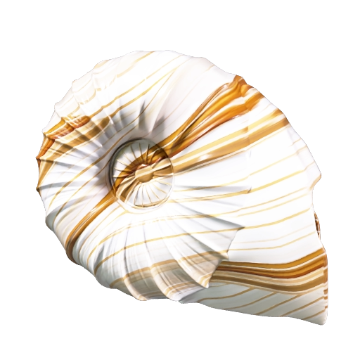 A model generated in this studio, textured